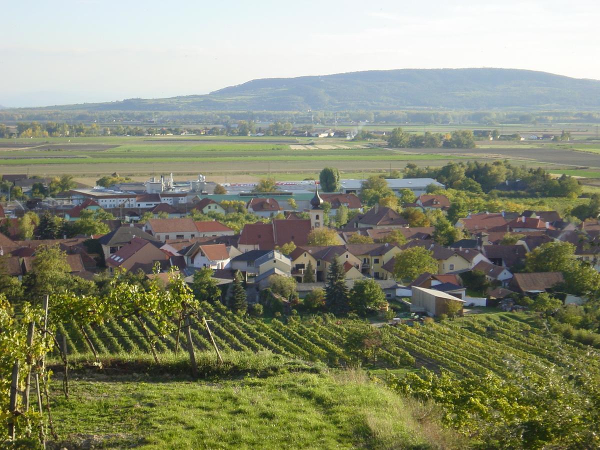 Weingut Und Gaestehaus Berger Gedersdorf Εξωτερικό φωτογραφία